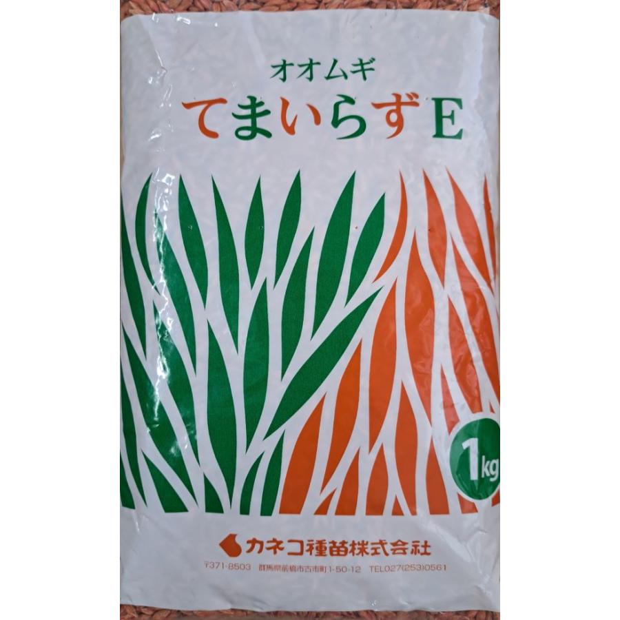 野菜種子 オオムギ てまいらずE 緑肥 1kg カネコ種苗のタネ（Yahoo!・Gardener s Shop Ivy）
