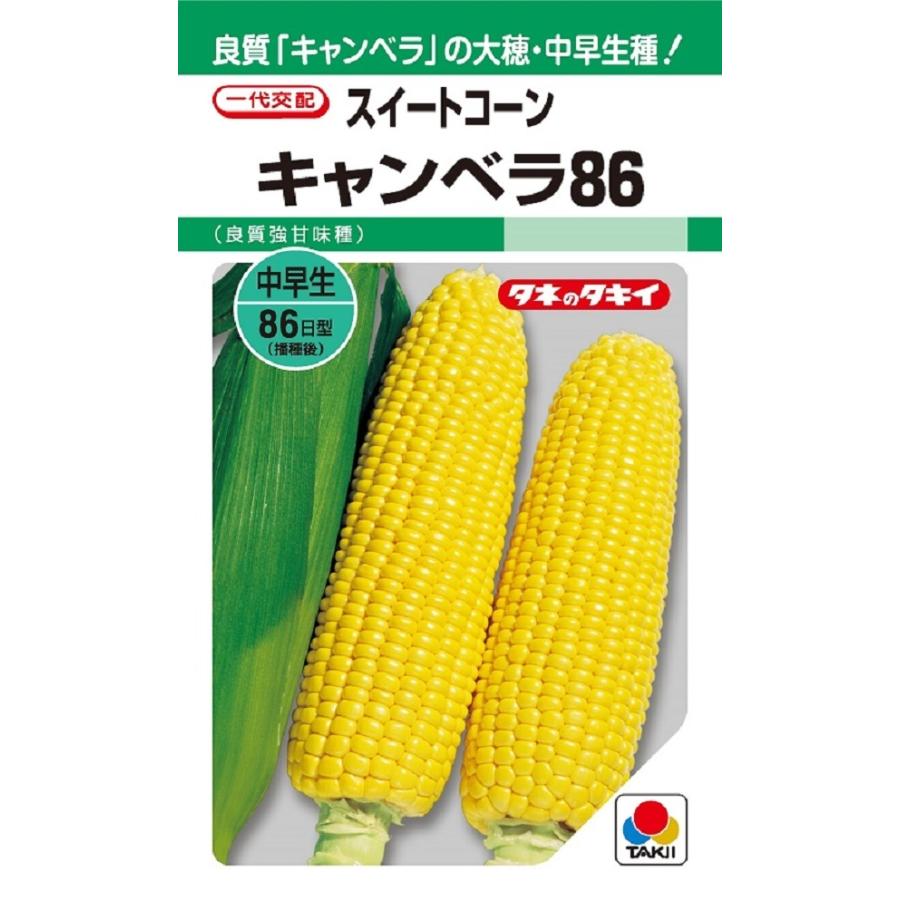 野菜種子 スイートコーン キャンベラ86 タキイ種苗のタネ : Gardener s