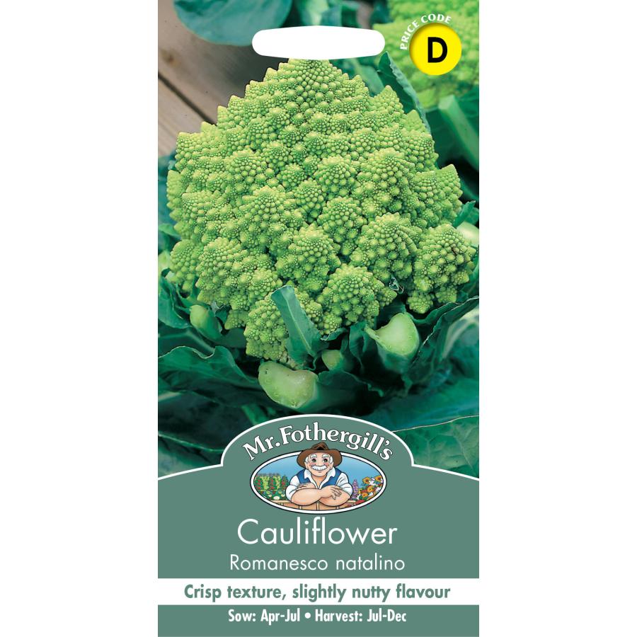 新発売の Mr Fothergill 039 S Seeds Cauliflower Romanesco Natalino カリフラワー ロマネスコ ナタリノ ミスター フォザーギルズシード Globescoffers Com