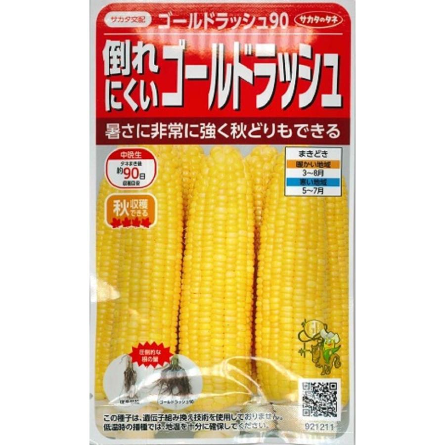 サカタのタネ（サカタノタネ） 野菜種子 とうもろこし ゴールド