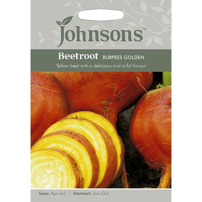 【種子】Johnsons Seeds Beetroot Burpees Golden ビートルート ブーピーズ・ゴールデン ジョンソンズシード｜gardeningivy