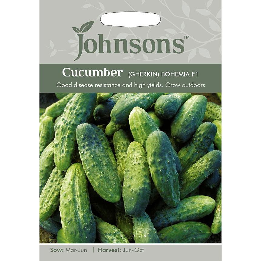 【輸入種子】Johnsons Seeds Cucumber (Gherkin)Bohemia F1 キューカンバー（ガーキン）・ボヘミア・F1 ジョンソンズシード
