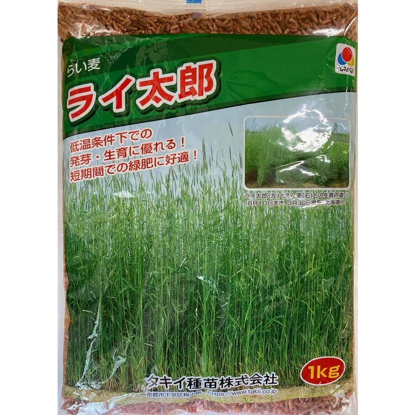 送料込 超極早生ライ麦 ライ太郎 20kg(1kg×20袋) タキイ種苗 タネのタキイ 種子 緑肥 代金引換不可 送料無料 通販 