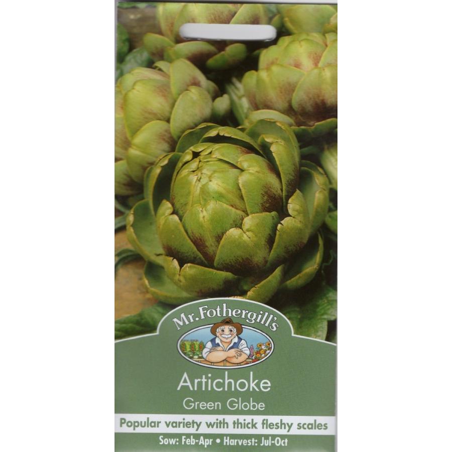 【種子】Mr.Fothergill's Seeds Artichoke Green Globe アーティチョーク グリーン・グローブ ミスター