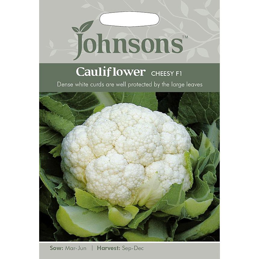 野菜種子 Johnsons Seeds Cauliflower Cheesy F1 カリフラワー