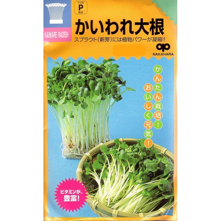 野菜種子 かいわれ大根 中原採種場のタネ : Gardener s Shop Ivy