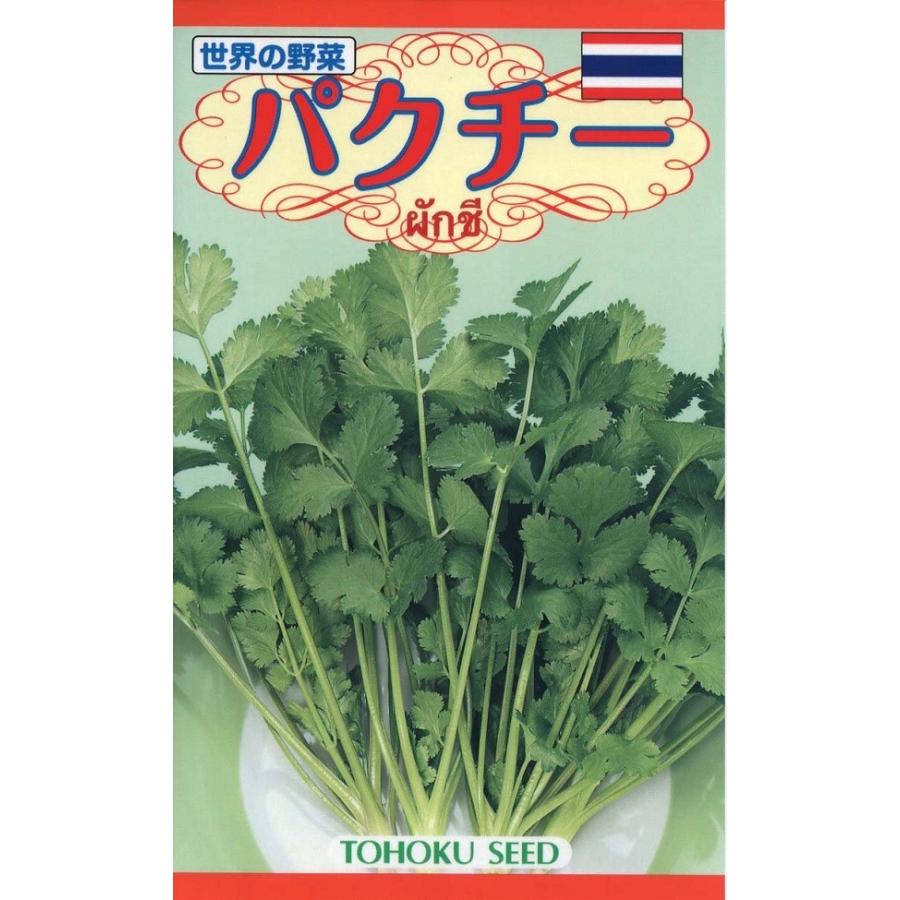野菜種子 パクチー トーホクのタネ : Gardener s Shop Ivy - 通販