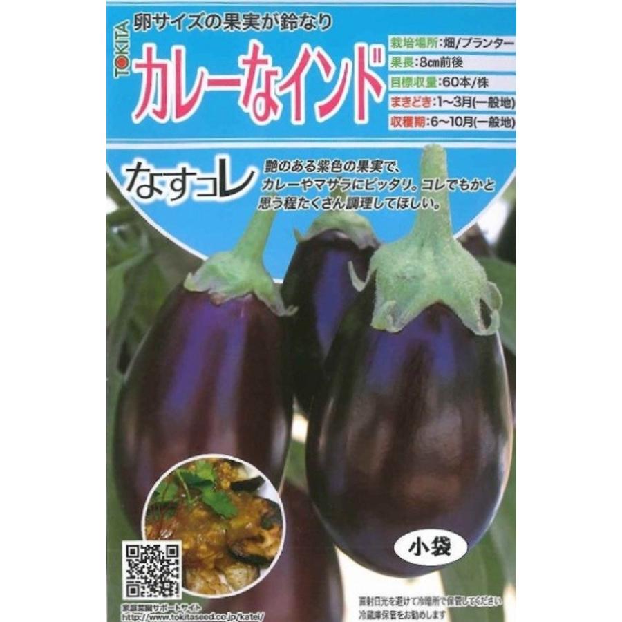 おトク 種子 なすコレ カレーなインド トキタ種苗のタネ