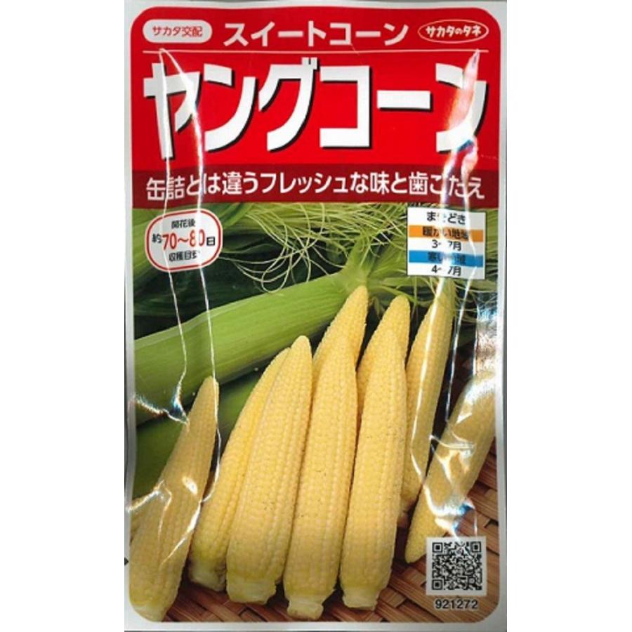 素敵な 種子 スイートコーン ヤングコーン サカタのタネ