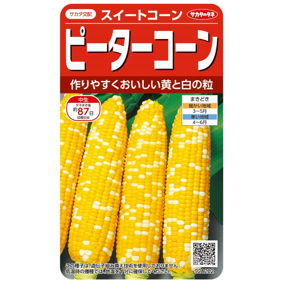 種子 スイートコーン ピーターコーン サカタのタネ Yasaitane 649 Gardener S Shop Ivy 通販 Yahoo ショッピング