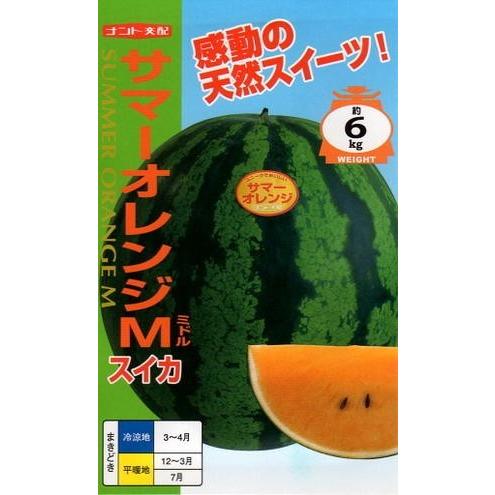 【種子】西瓜（スイカ） サマーオレンジM（ミドル） ナント種苗のタネ｜gardeningivy