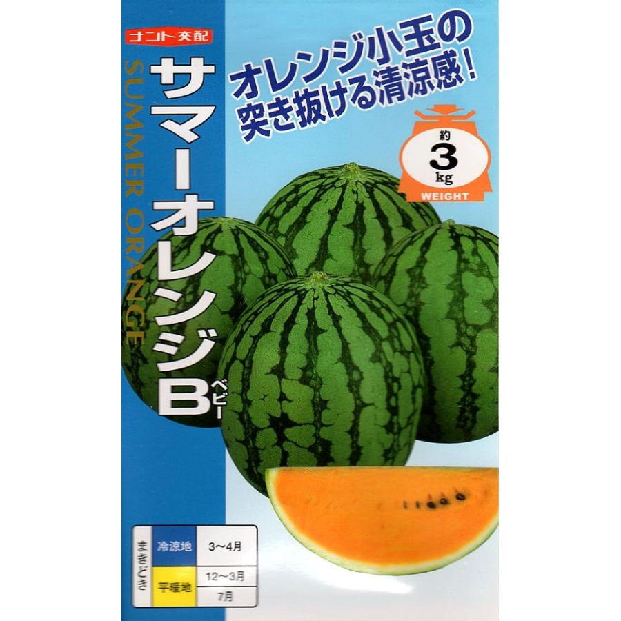 食品 サマーオレンジ 西瓜 スイカ13キロ