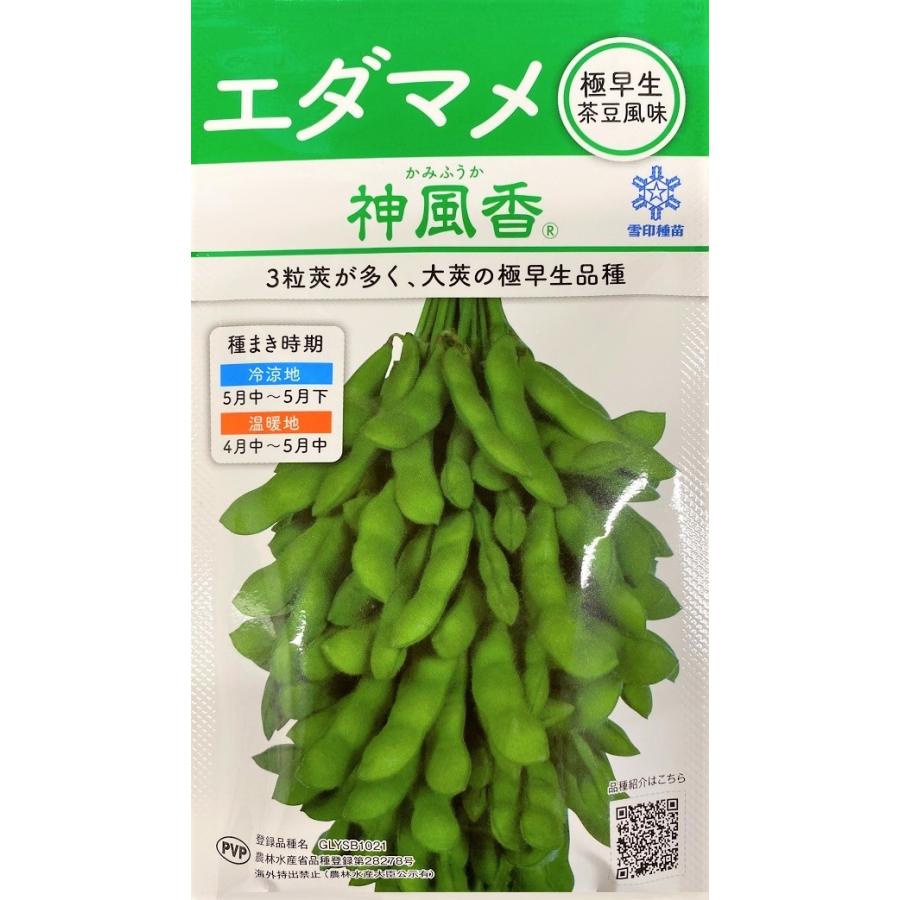 種子 枝豆 えだまめ 神風香 小袋雪印種苗のタネ 農林水産省品種登録 登録番号 第278号 海外持出禁止 Yasaitane 841 Gardener S Shop Ivy 通販 Yahoo ショッピング