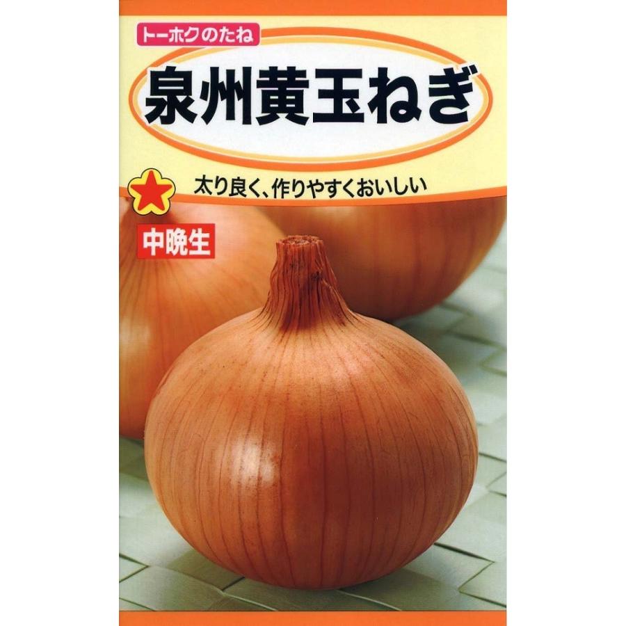 みんと 泉州黄玉ねぎ 種子 野菜種子 泉州黄玉ねぎ トーホクのタネ : Gardener s Shop Ivy - 通販