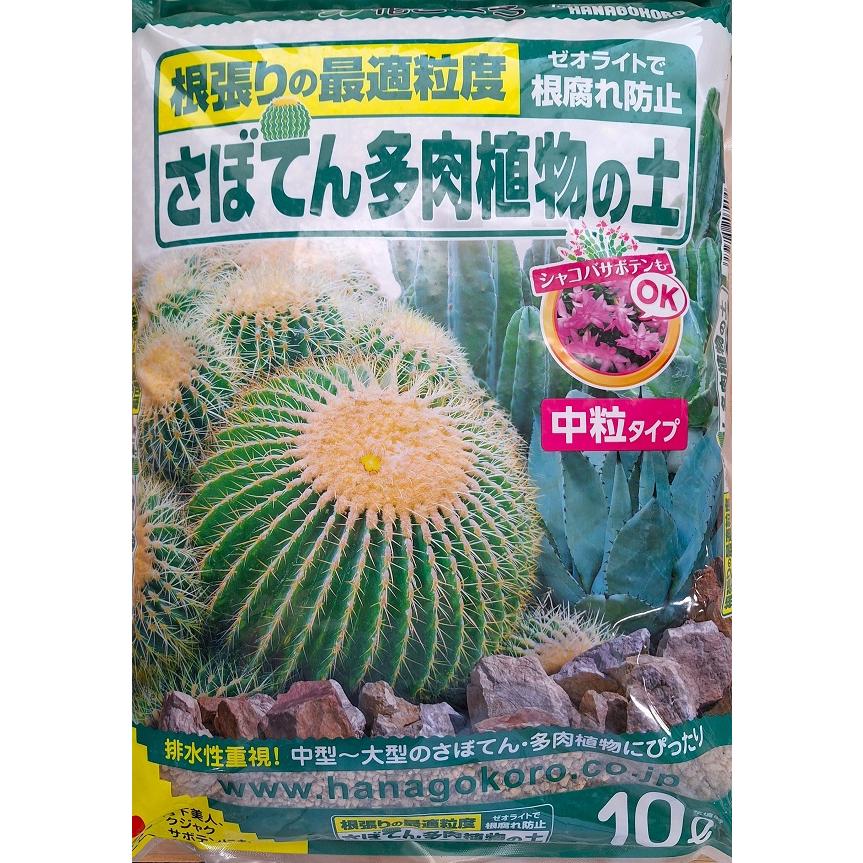 【培養土】 花ごころ さぼてん多肉植物の土 中粒タイプ 10L の商品画像