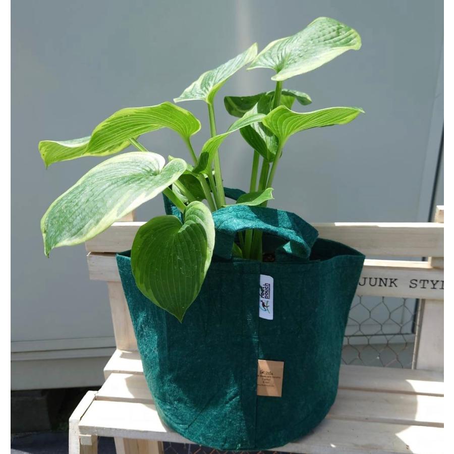 グリーンフィールドプロジェクト 軽いエコプランター Root Pouch Mサイズ グリーン（Yahoo!・Gardener s Shop Ivy）