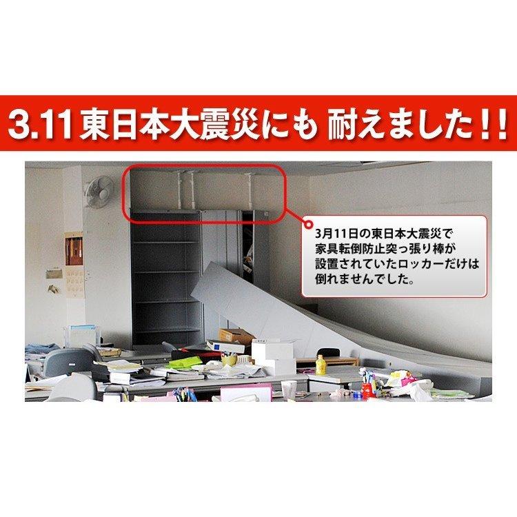 IRIS OHYAMA（アイリスオーヤマ） 突っ張り棒 4本セット 家具転倒防止