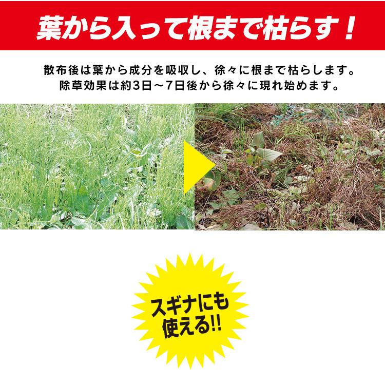 除草剤 強力 除草 2本セット 草むしり 草 速効 雑草 液状 ストレートタイプ 根 草木 雑草対策 雑草処理 非農耕地 アイリスオーヤマ 4L SJS -4L :1904424:gardenliving Yahoo!店 - 通販 - Yahoo!ショッピング