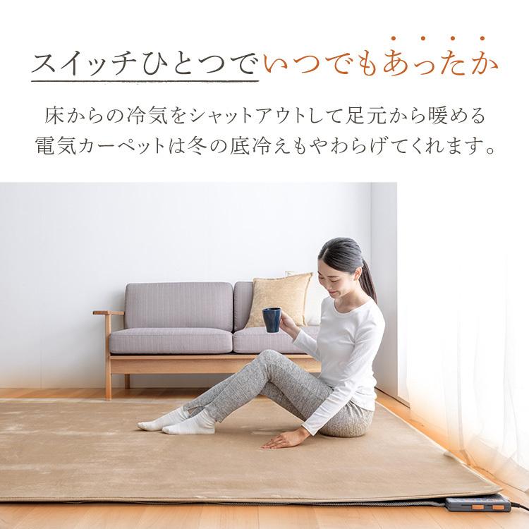 TEKNOS（テクノス） ホットカーペット 3畳 本体 ラグ セット 195×235