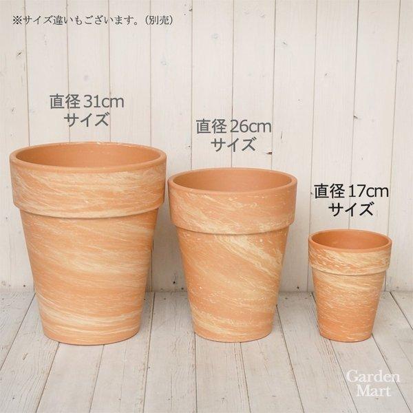 植木鉢 テラコッタ トールポット 外径17cmサイズ マーブル・ベージュ色（MT17）ドイツ製 SPANG（スパング） (メーカー在庫限り廃番)｜gardenmart｜05