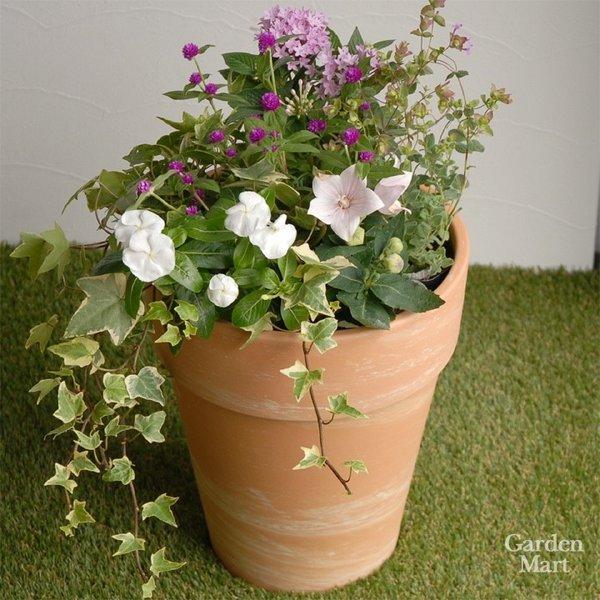植木鉢 テラコッタ トールポット 外径26cmサイズ マーブル・ベージュ色