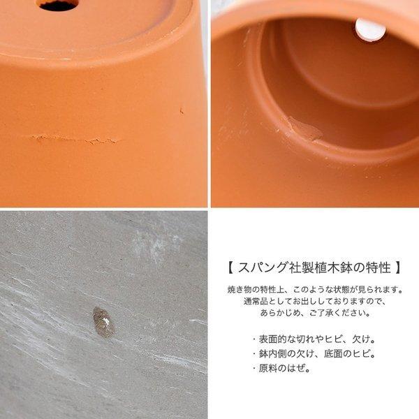 植木鉢 テラコッタ スタンダードポット 直径5.7cm(内径5cm)サイズ