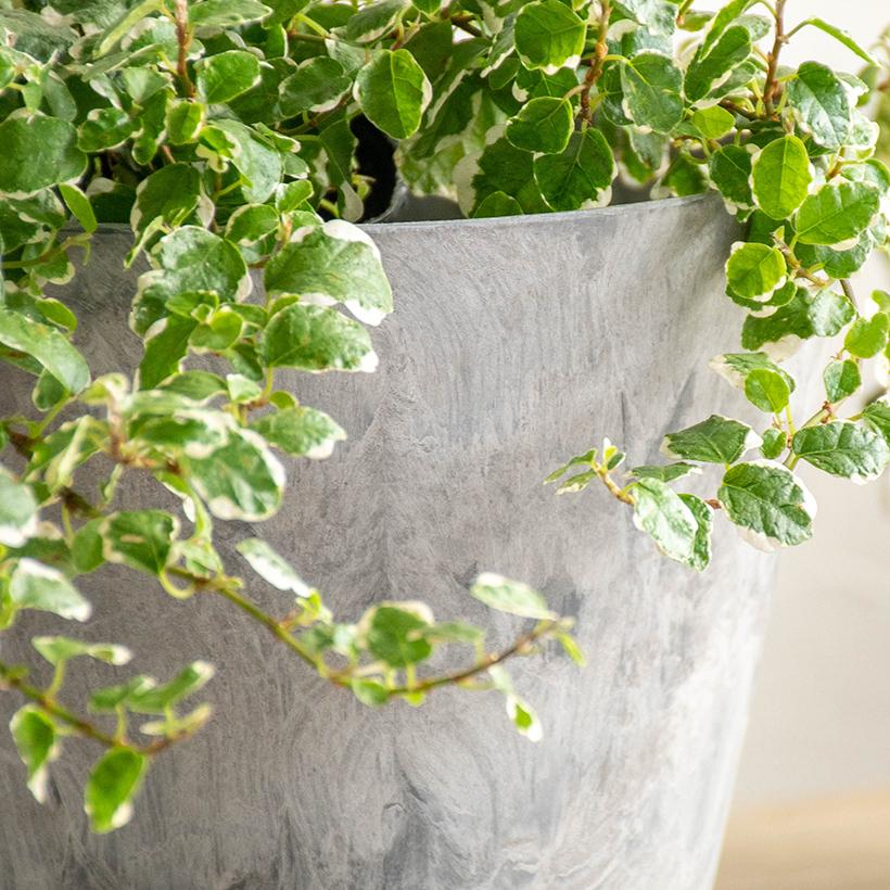 植木鉢 プランター ARTSTONE アートストーン シリンダーR M 直径15cmサイズ 5号相当|gardenmart|06