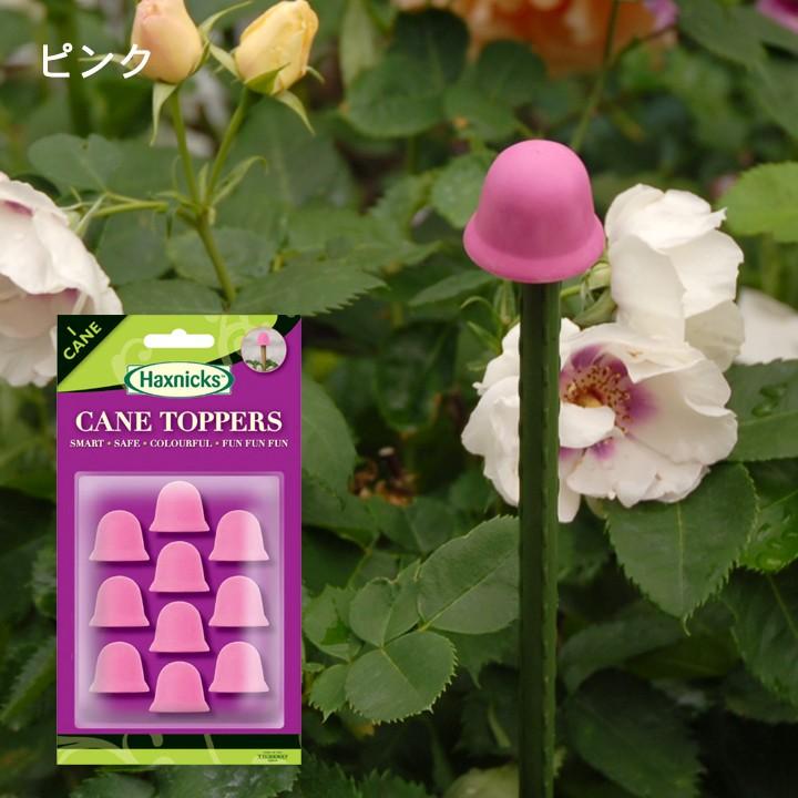 Haxnicks 支柱キャップ ゴム製支柱飾り ケーントッパー 10個入り ブラック Canetoppers Cane ガーデンマート Yahoo 店 通販 Yahoo ショッピング