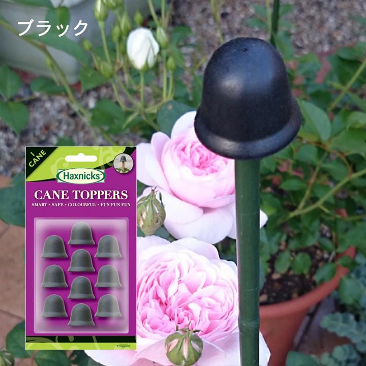 Haxnicks 支柱キャップ ゴム製支柱飾り ケーントッパー 10個入り オリーブ Canetoppers Cane ガーデンマート Yahoo 店 通販 Yahoo ショッピング