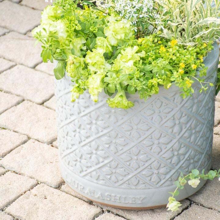 Mr Jones Cylinder 直径31cmサイズ LAURA ASHLEY PLANTER (秋のガーデニングフェア) :laj02c:ガーデンマート Yahoo!店 - 通販 - Yahoo!ショッピング Mr Jones Cylinder 直径31cmサイズ LAURA ASHLEY PLANTER (秋のガーデニングフェア) :laj02c:ガーデンマート Yahoo!店 - 通販 - Yahoo!ショッピング
