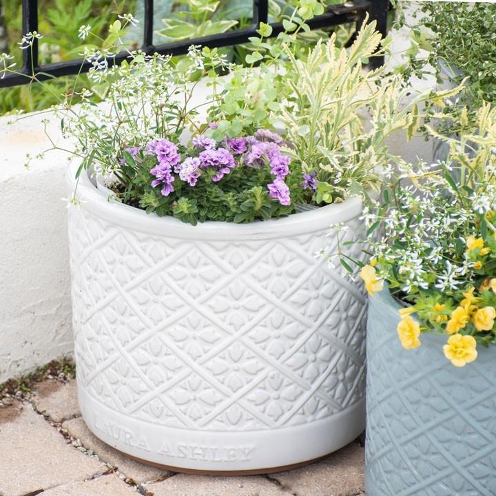 Mr Jones Cylinder 直径31cmサイズ LAURA ASHLEY PLANTER (秋のガーデニングフェア) :laj02c:ガーデンマート Yahoo!店 - 通販 - Yahoo!ショッピング Mr Jones Cylinder 直径31cmサイズ LAURA ASHLEY PLANTER (秋のガーデニングフェア) :laj02c:ガーデンマート Yahoo!店 - 通販 - Yahoo!ショッピング
