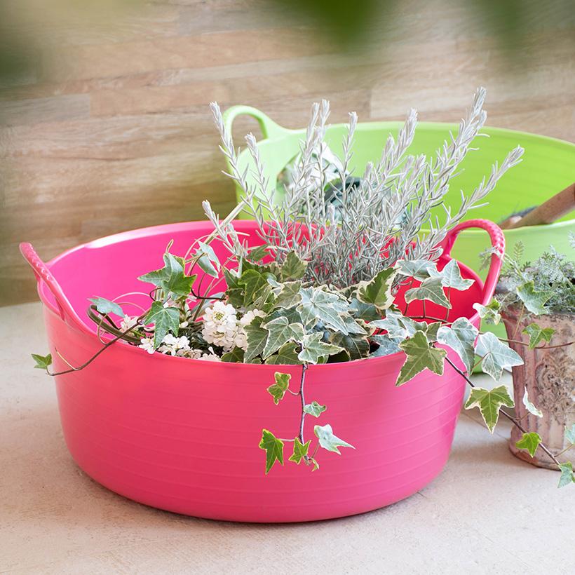 gardenmart sp15