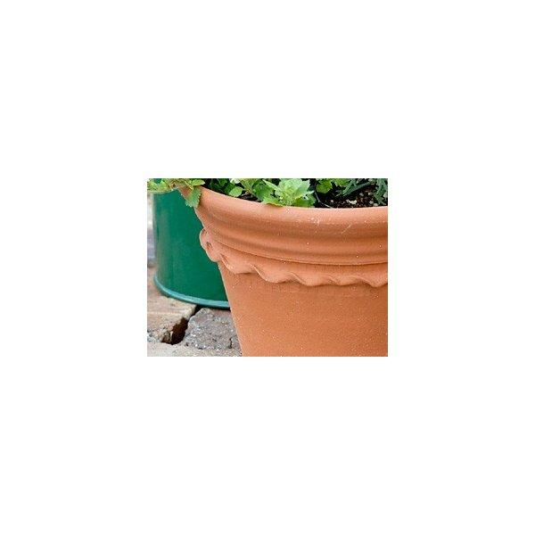 ウィッチフォード 植木鉢 ペイストリーポット 直径23cmサイズ