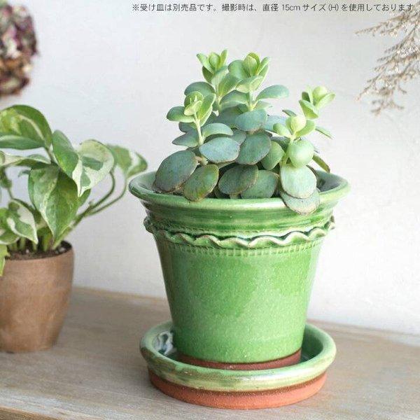 ウィッチフォード 植木鉢 グレイズド ペイストリーフラワーポット 直径