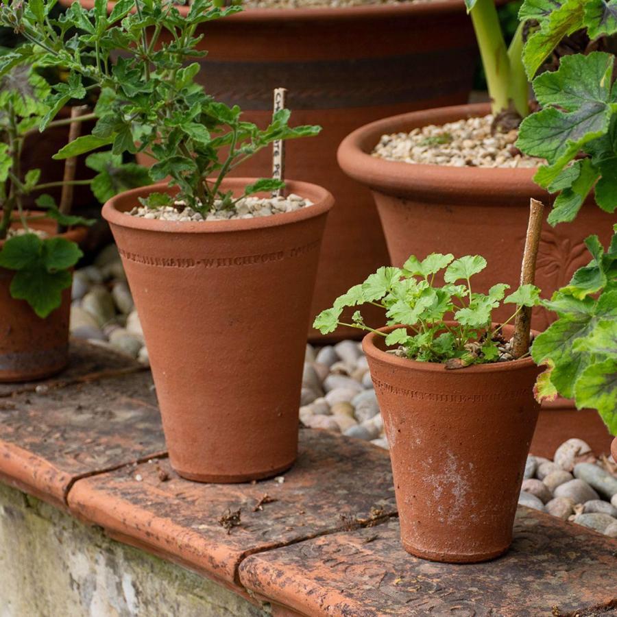 ウィッチフォード 植木鉢 ロングトム 直径11cmサイズ Whichford