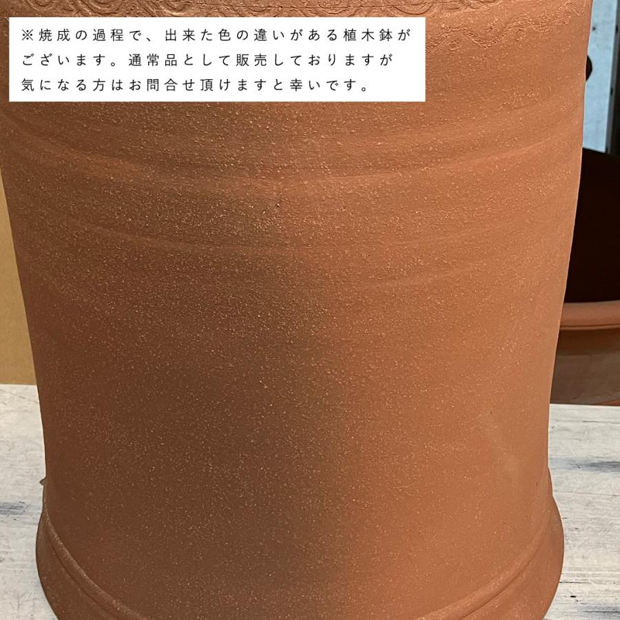 ウィッチフォード 植木鉢 シーケールフォーサー 直径32cmサイズ