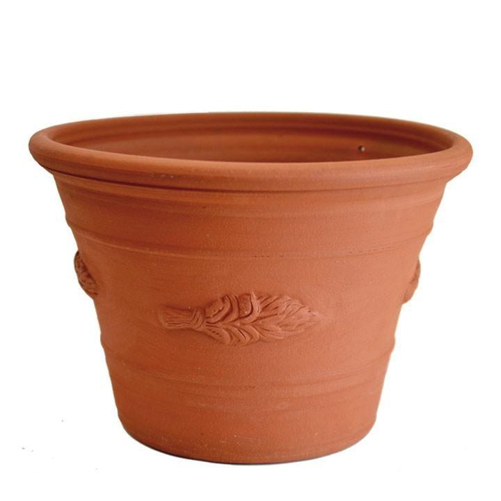 イギリス　ウィッチフォード鉢 在庫僅少】ウィッチフォード テラコッタ 植木鉢 バーズ