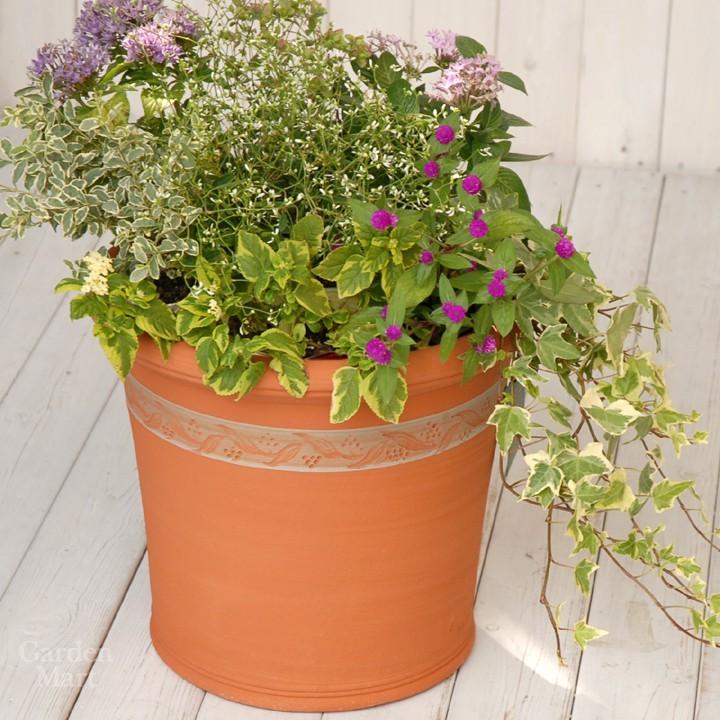 予約販売】ウィッチフォード 植木鉢 ベリーポット 直径32cmサイズ