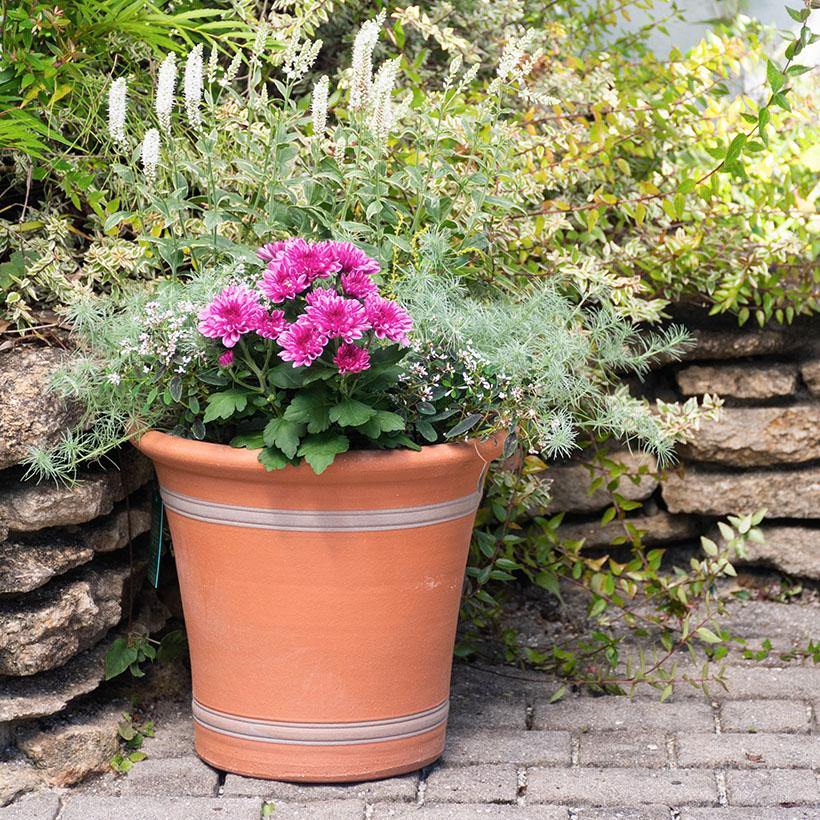 ウィッチフォード 植木鉢 リボンポット 直径29cmサイズ Whichford