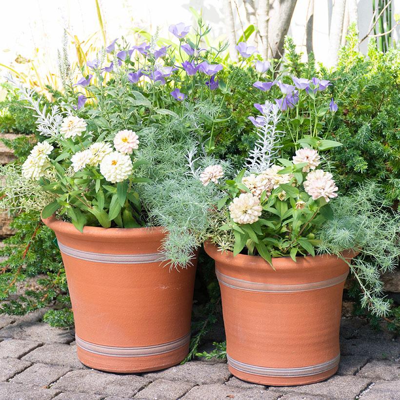 リボン 鉢 ୨୧*バラandリボンのリメイク鉢♡3.5号鉢2個