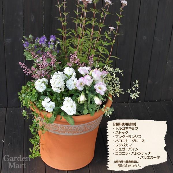 ウィッチフォード 植木鉢 ポピーポット 直径31cmサイズ Whichford