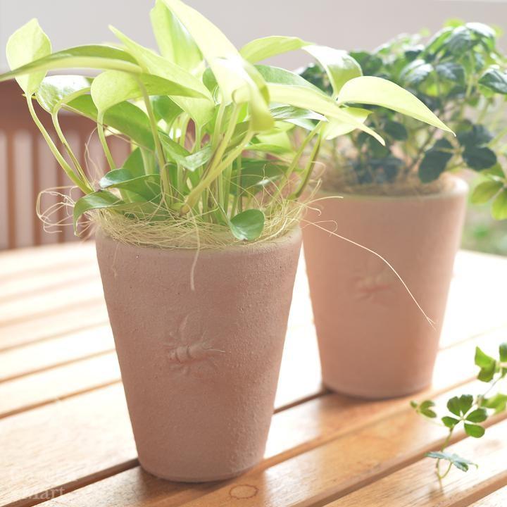 ウィッチフォード 植木鉢 アームスコット ロングトムズ 直径9cmサイズ