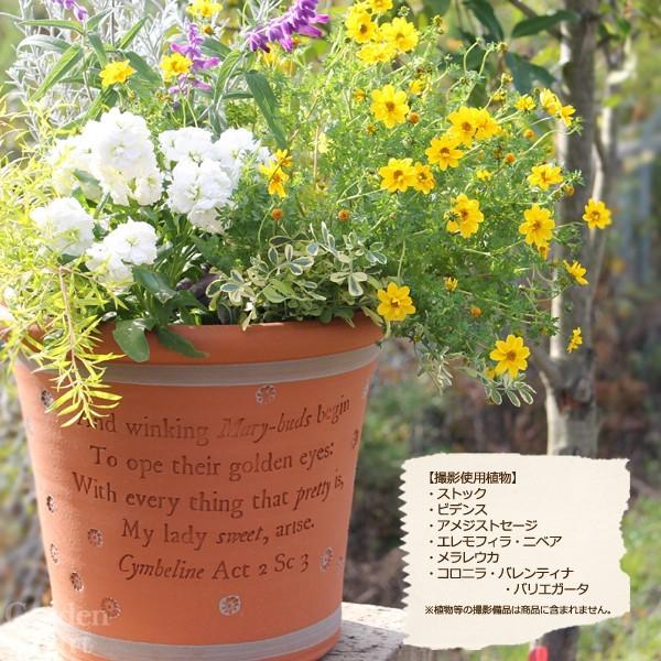 ウィッチフォード 植木鉢 シェイクスピアシリーズ シンベリン 直径31cmサイズ Whichford Pottery ウィッチフォード シェイクスピアシリーズ シンベリン Whichford Pottery 約6