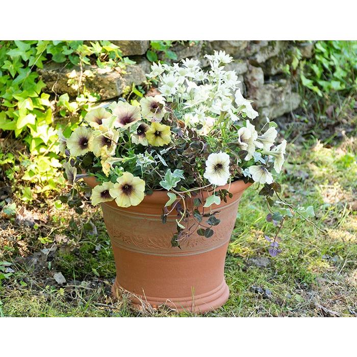 ウィッチフォード 植木鉢 シチリアンレモン ポット 直径31cmサイズ