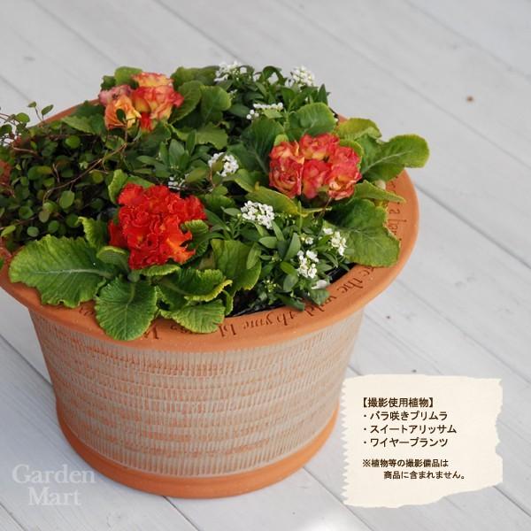 ウィッチフォード 植木鉢 シェイクスピアシリーズ ミッドサマー ナイト