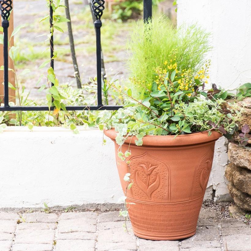 ウィッチフォード 植木鉢 堂々としたチューリップポット S 直径32cm