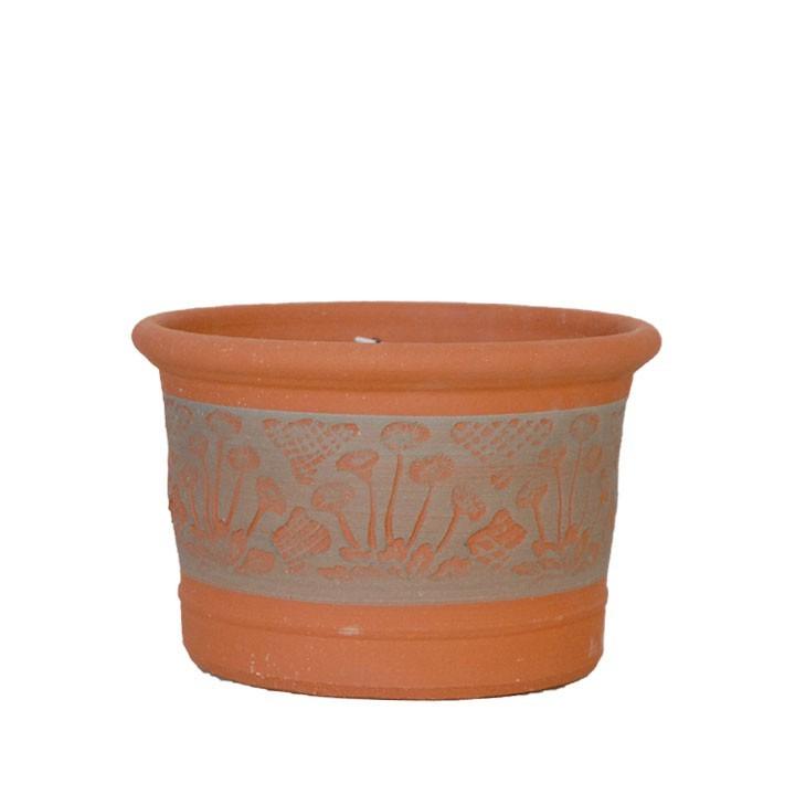 ウィッチフォード 植木鉢 RHSデイジープランター 直径25cmサイズ Whichford Pottery (2023年12月再入荷)