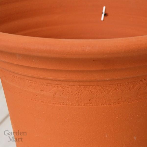 ウィッチフォード 植木鉢 ジムズ トム 直径29cmサイズ Whichford Pottery (2024年9月再入荷)