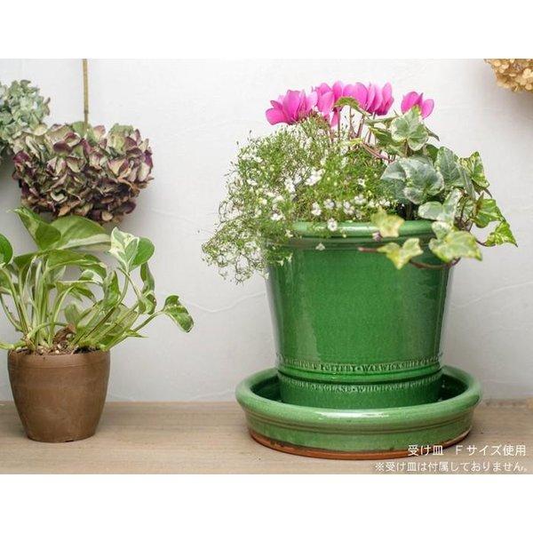 ウィッチフォード 植木鉢 グレイズドバクサスポット 直径20cmサイズ