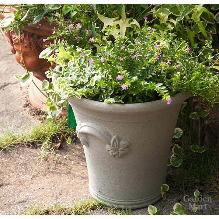 Whichford ウィッチフォード 植木鉢 大型　リリーポット 直径38cm 楽天市場】Whichford ウィッチフォード 植木鉢 大型 Platinum